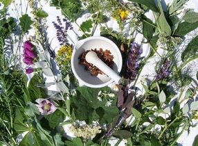 Osteokondroz tedavisi için şifalı bitkiler